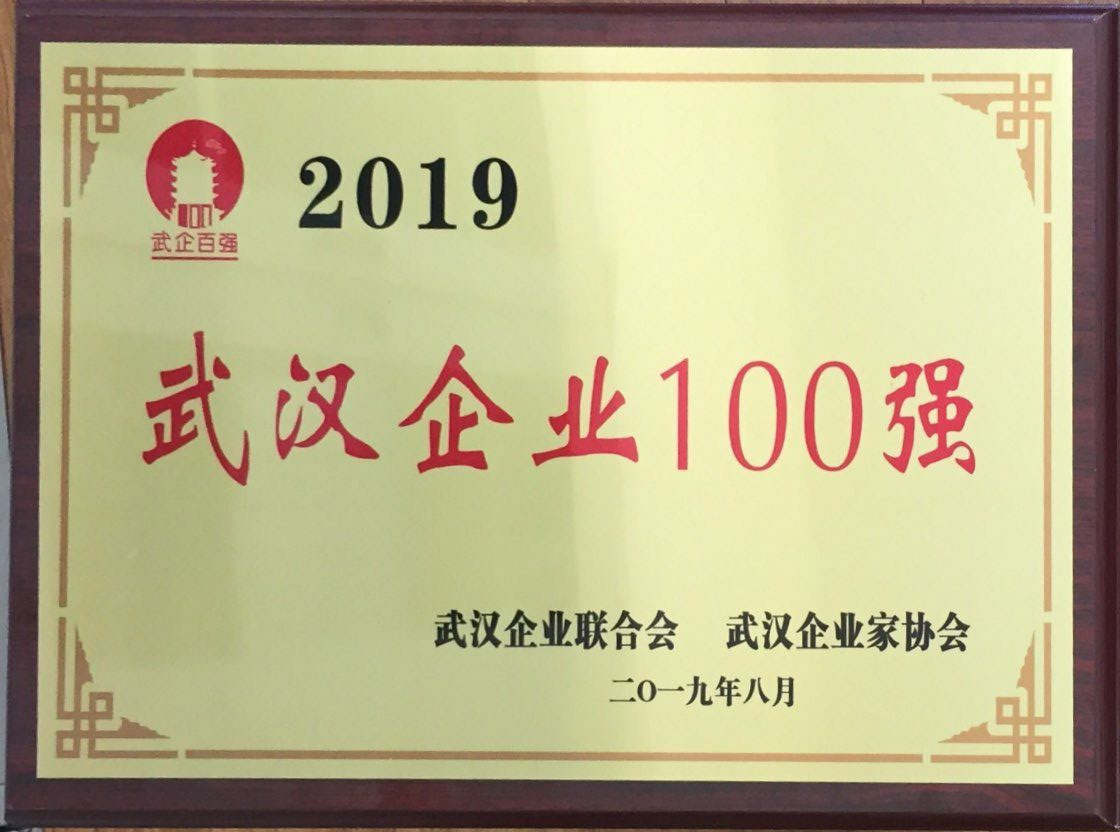 2019年武漢企業100強.jpg
